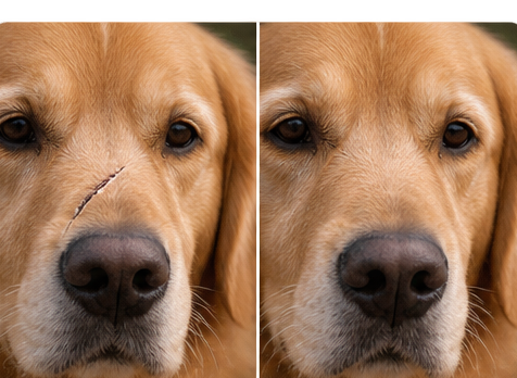 Healing Brush example
